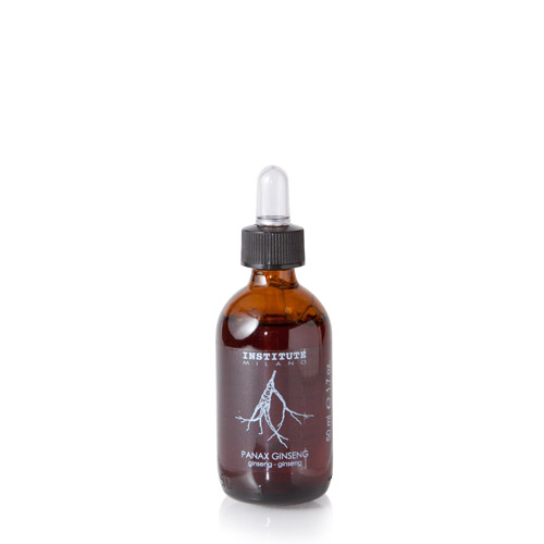 Panax Ginseng